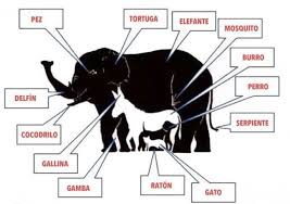 Ven a jugar con nosotros. Cuantos Animales Ves En Esta Imagen Tkm United States Juegos Mentales Imagenes Acertijos Mentales Juegos Mentales