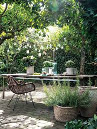 Gruner Tag Pflanzen Fur Den Garten Den Fur Garten Gruner Pflanzen Tag Tuin Ideeen Tuin Tuin En Terras