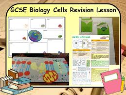Physicists reveal strongest evidence yet of matter created by light collisions. Gcse Ks4 Biology Science Cells Revision Lesson Teaching Resources
