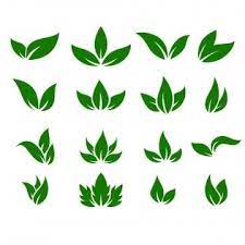 Leaf Icons Vector Design Leaves Green Concept Illustration Isolated Nature Premium Leaf Clipart Leaf Icon Png And Vector With Transparent Background For Free Vector Design Logo Design Video Farm Logo Design