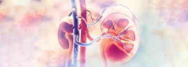 Ano Ang Renal Parenchymal Disease Na Result Sa Ultrasound - Youtube
