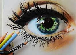 Image result for drawing amazing color