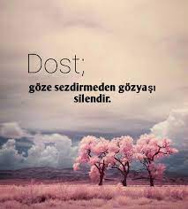 Dost, göze sezdirmeden gözyaşı silendir. Dost Ile Ilgili Resimli Sozler Guzel Sozler 2021