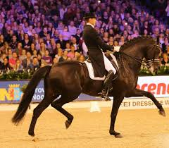 See hot celebrity videos, e! Medal Winning Horse Put Down After Shocking Injury Ahead Of Tokyo Olympics 2020 Essentiallysports
