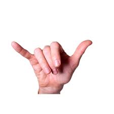 This is very popular in the italian culture and one would do it for the benediction gesture (or benedictio latina gesture) is a raised right hand with the ring finger and little. Magic Words In American Sign Language Asl Emily Post