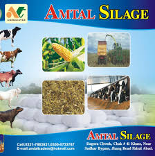 Animal cell information in marathi. Amtal Associates Multan Home Facebook