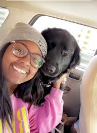 Lost dog found in Keller, Texas with rabies tag