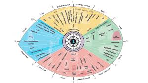 the best change i ever made in iridology chart left eye