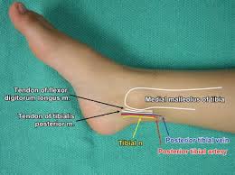 Ankle Blocks Springerlink