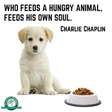 Who Feeds A Hungry Animal Feeds His Own Soul Charlie Chaplin Quote Charliechaplin Chaplin