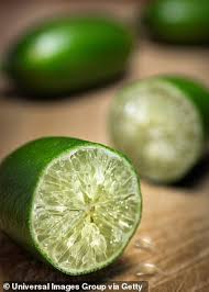 Maybe you would like to learn more about one of these? Anti Ageing Power Of Citrus Caviar Found In Finger Limes Become The Latest Must Have Daily Mail Online