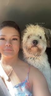 Lost dog Remi in Franklin Township, Hunterdon County