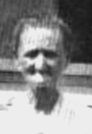 Obituaries for Carrie Olson & G. Lars Larson and Their Descendants,  Assembled by Harry H. Wagner.