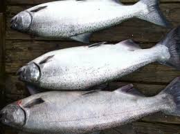 Select rooms offer mountain or river views. Best Spring Chinook Salmon Fishing Portland Oregon Area Best Fishing In America