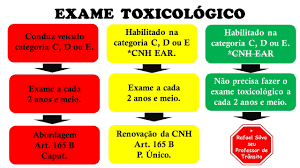 veja nova lei do exame toxicologico youtube
