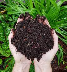 Check spelling or type a new query. Composting 101 What Why How To Compost At Home Homestead And Chill