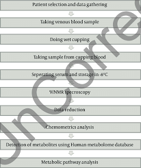 Flow Chart Of The Methodology Download Scientific Diagram