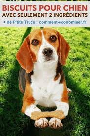 Faciles Et Pas Cheres 8 Recettes A Faire Avec Seulement 2 Ingredients Biscuits Pour Chiens Recettes Pour Chien Alimentation Animale