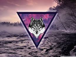 Cute Galaxy Wolf Wallpapers On Wallpaperdog All of these galaxy background images and vectors have high resolution and can be used as banners, posters or wallpapers.