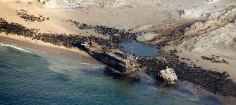 Despite the enduring fame of this coastline, surprisingly few travellers ever reach points north of cape cross. Skeleton Coast Safaris Tours And Holiday Packages Discover Africa Safaris