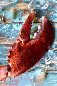 Epingle Par Ekaterina Naidenova Sur Seafood Homard Poisson Fruits De Mer