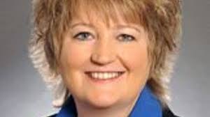 Ex-state senator running to replace Walz in Congress