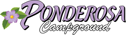 Our 2021 property listings offer a large selection of 3,426 vacation rentals around cape may court house. Ponderosa Campground Cape May Nj
