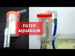 Cara membuat kreasi aquarium mini dari bohlam lampu bekas. Cara Membuat Filter Akuarium Dari Botol Bekas Dan Toples Kaskus