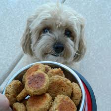 Want a recipe that's incredibly easy to make? Diabetic Dog Treats Recipe Allrecipes