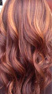 Red Copper Highlights Hair Baylage Hair Hair Highlights Hair Color Auburn