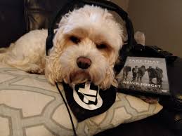 lesley mcgregor ⫩ (lesleyblyth1@)