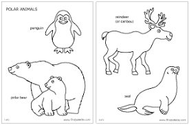 By best coloring pagesaugust 13th 2013. Polar Animals Coloring Page And Printables For Standing Animals Polar Animals Arctic Animals Artic Animals