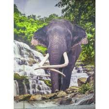 We did not find results for: Digital Printing Gloss Animal Printed Wall Tiles Size Medium Thickness 8 10 Mm Rs 275 Square Feet Id 18043207097