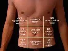 Nine regions delineated by four planes and four quadrants. What Organs Are Present In The Left Hypochondriac Region Quora