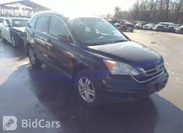 Image result for Crystal Black 2010 CRV