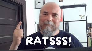 🐈‍⬛Cats, 🦇Bats, 😃Pat, & 🐀RATSSSS!