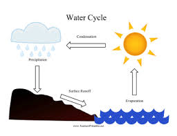 water cycle chart