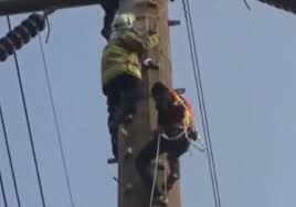 Perusahaan listrik negara (pln) area bojonegoro). Teknisi Listrik Pln Bojonegoro Listrik Byar Pet Di Ladang Gas Jtb Media Informasi Dan Komunikasi Masyarakat Blok Cepu Kami Teknisi Listrik Juga Menyediakan Jasa Instalasi Listrik Baru Katalog Busana Muslim