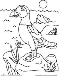Puffin Worksheet Education Com Coloring Pages Toddler Art Projects Painting Patterns
