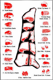 Yield On Beef Carcass The Cuts Of Beef And Their Average