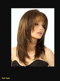 Lange haare stufenschnitt hinten | hair in frisuren für mittellange haare: Pin On Haartrends 2018