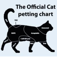 25 Best Petting Chart Memes Chart Memes