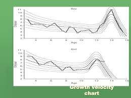 Growth Development Growth Can Be Defined As The Process By