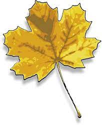 Another Maple Leaf Imagine Smile Color Art Photographic Print By Greengoodnich Colorful Art Clip Art Art