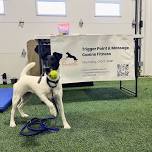 Core Pawtential | OSAC The Whale Cup
