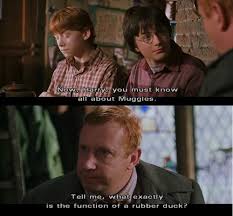 What Exactly Is The Function Of A Rubber Duck Harry Potter Funny Harry Potter Love Harry Potter
