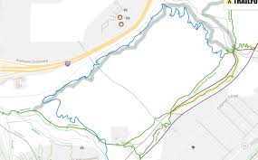 Hiking the SHT from 24th Ave West to Enger I saw this tree down