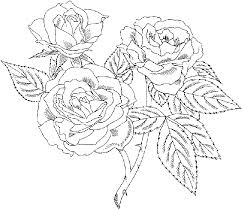 A larger version will open in a new tab or window. Rose Coloring Pages Animal Coloring Pages Rose Coloring Pages Coloring Pages