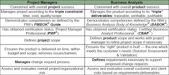Blind Spot Elimination Business Analysts Project Risk