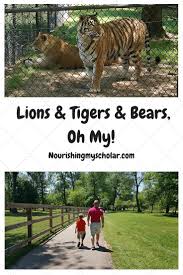 Help me give my students the read aloud books needed to help teach the new best florida standards. Lions Tigers Bears Oh My Nourishing My Scholar